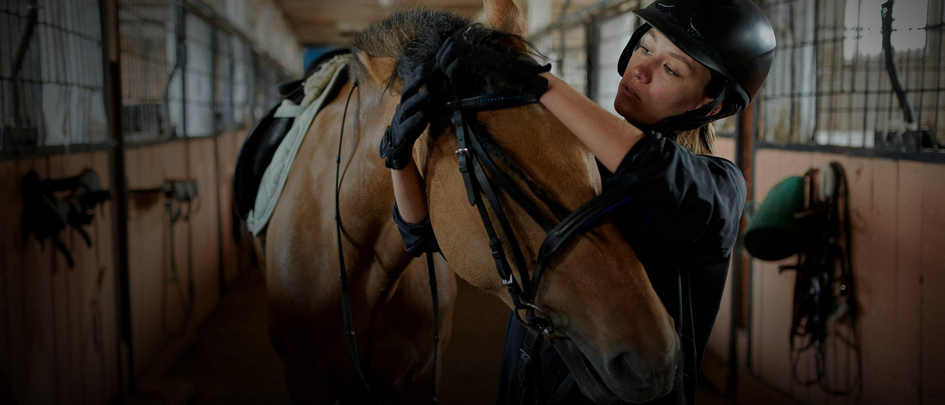 Why Some Horses Lose Focus in Competition Environments