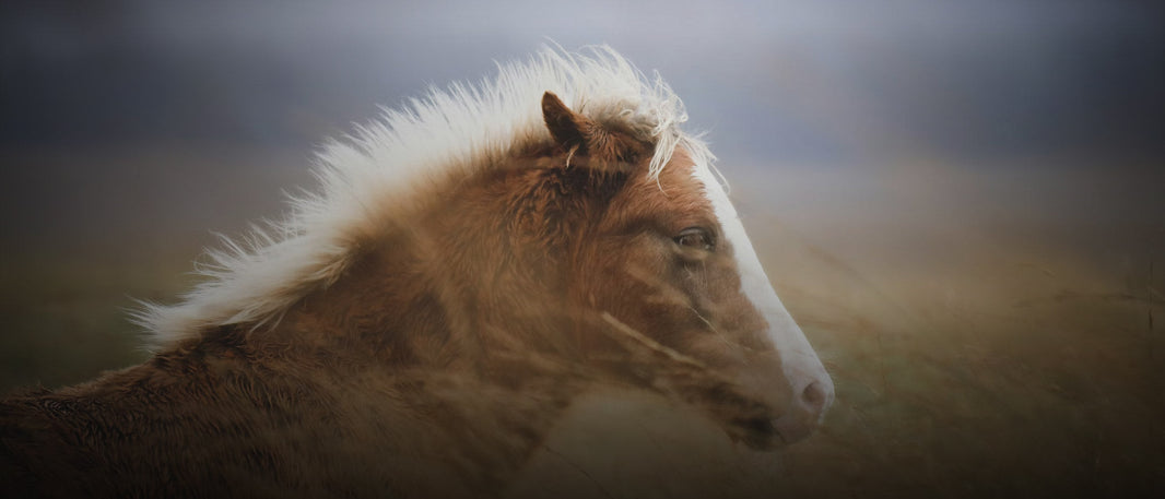 Why Recovery Days Matter as Much as Training Days