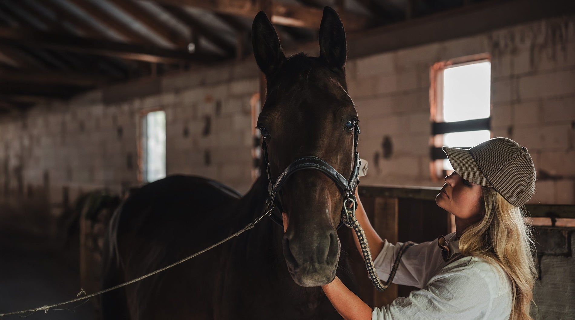 When Horses Are Sound, but Not Quite Right