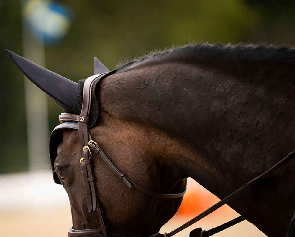 Valadin Competition Compliant Equine Products